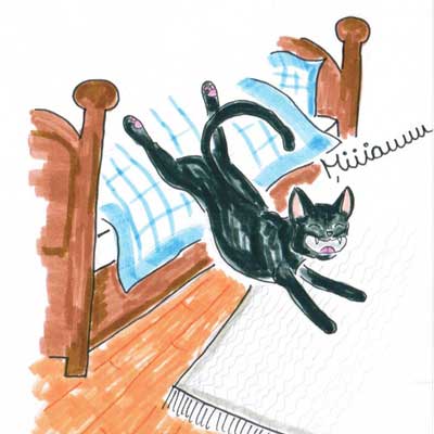 Lesung Kater Casimir in Katzenhausen